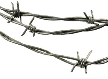Barb Wire