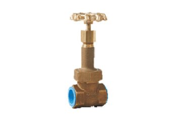 Gate Valve